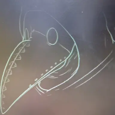 Profile image of 049