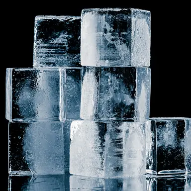 Profile image of 폴룩스