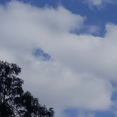 Profile image of 라더