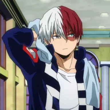 Profile image of Shoto Todoroki
