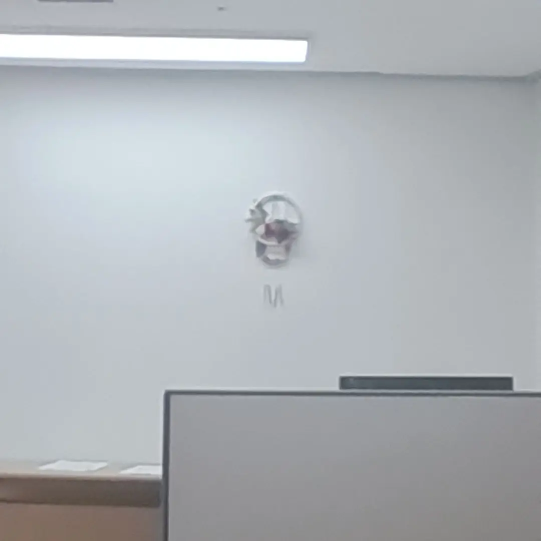 RunnyBone0304의 구청견인사무실을차렷다