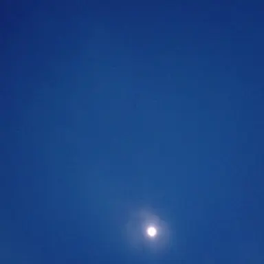 Profile image of いふ