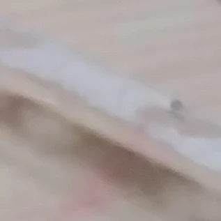 교장선생님
