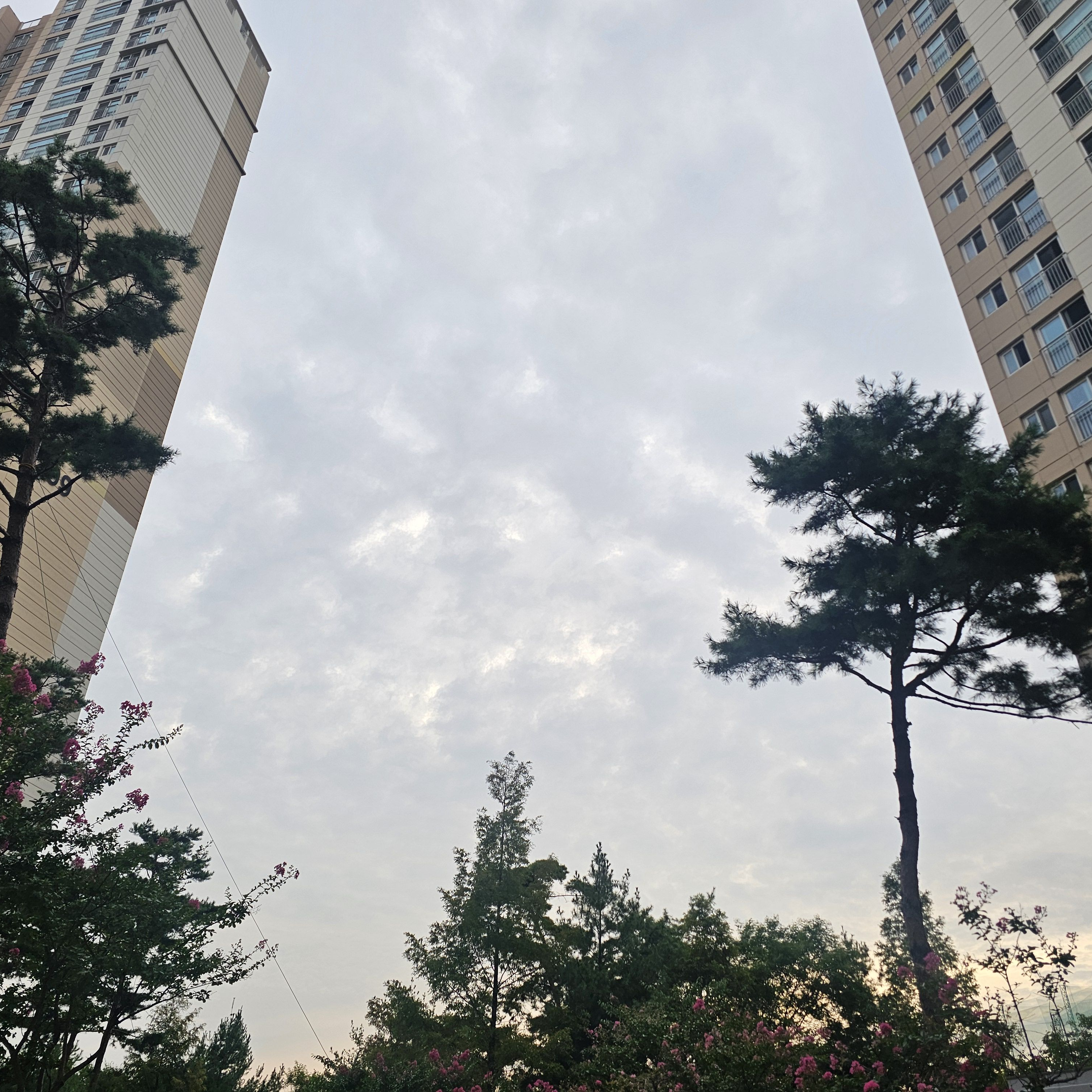 H2H 주은과 연관된 사람 되기 대표 이미지