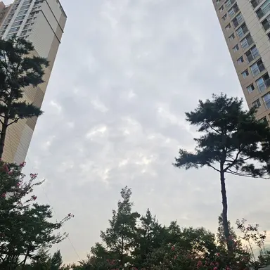 Profile image of 김주은