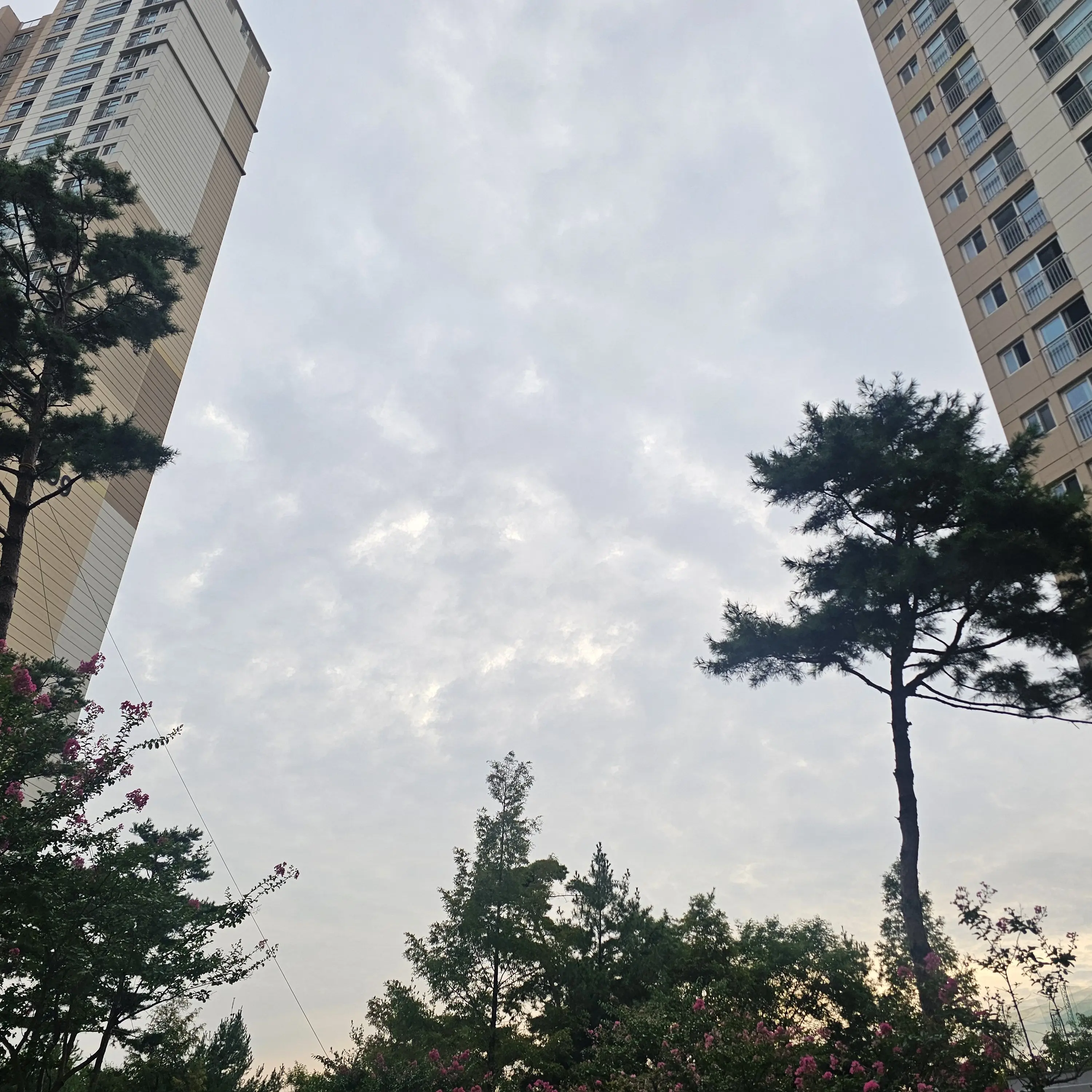 Meowmeowwwwwwww의 H2H 주은과 연관된 사람 되기