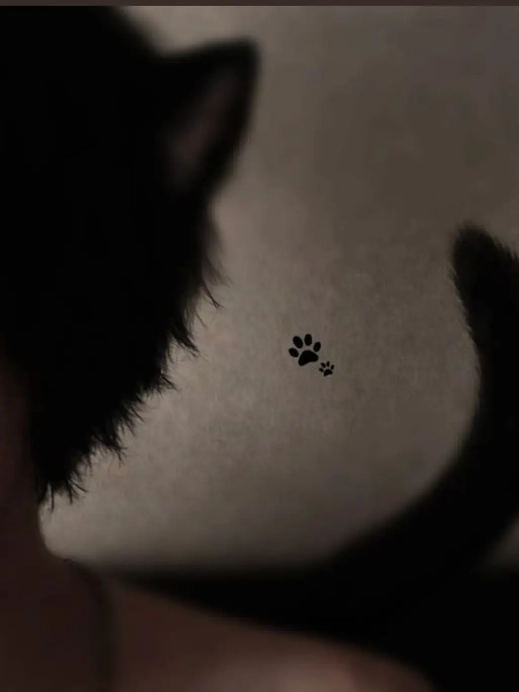 Katalinar14의 Catboy!!-andrew
