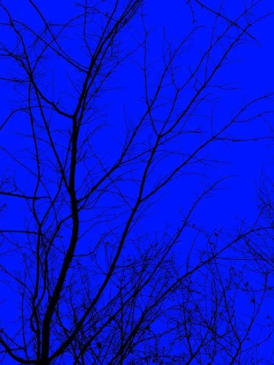 blueliner의 Salvation