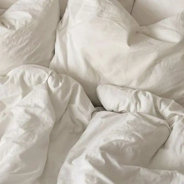 lohe의 아야토 켄지