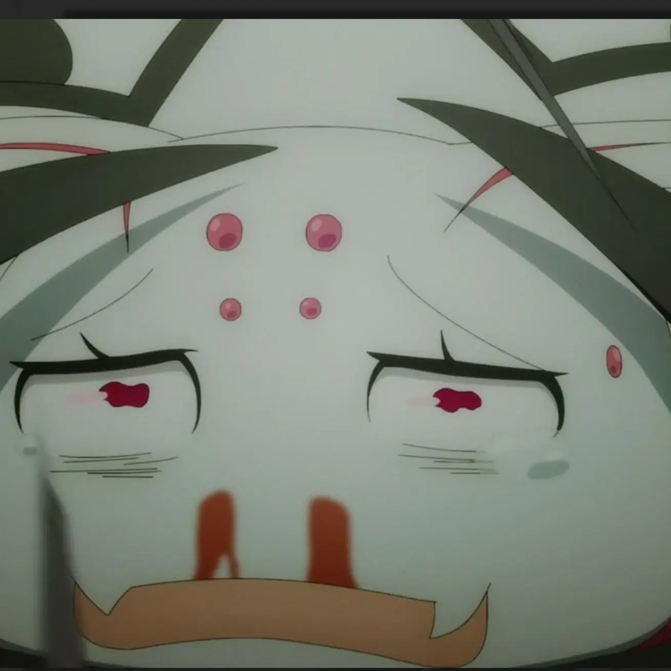 SturdyNewt257의 거미입니다만,문제라도?