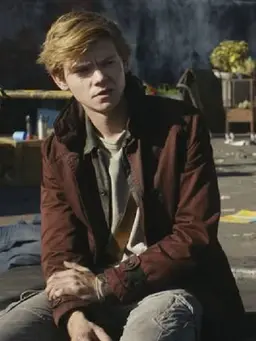 Profile image of Newt