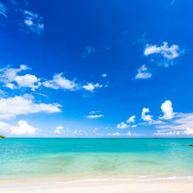 natukoi의 海