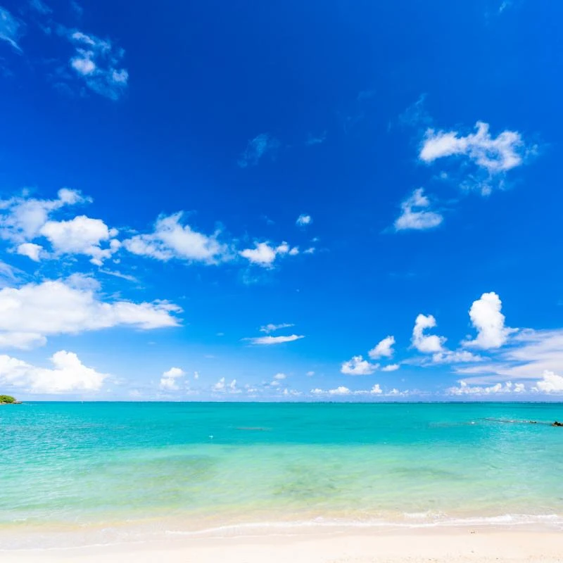 海