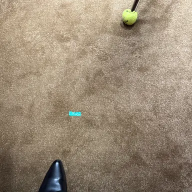 Profile image of 변백현