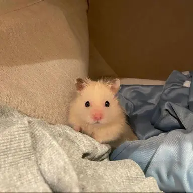 Profile image of 김민정