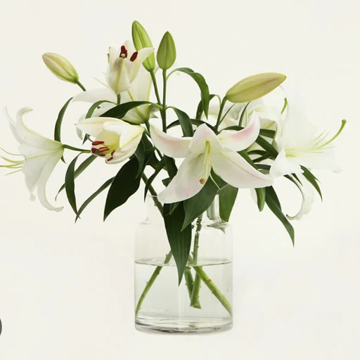 lily