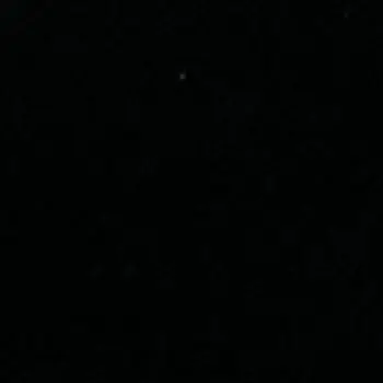 .1123의 뮨