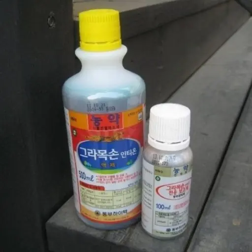 BOERTY의 팀 그라목손