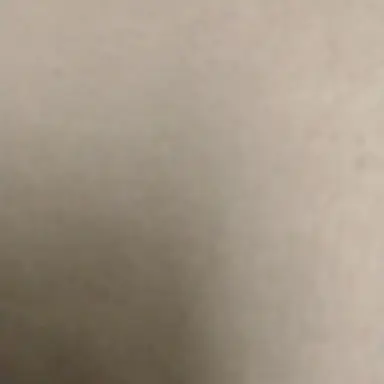 Profile image of 프로이센