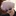 고죠 사토루