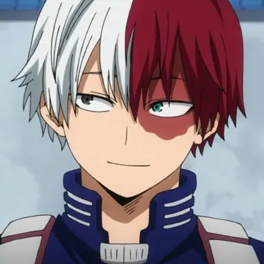 Profile image of Todoroki