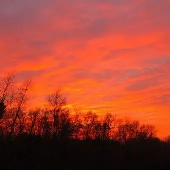 Profile image of 류