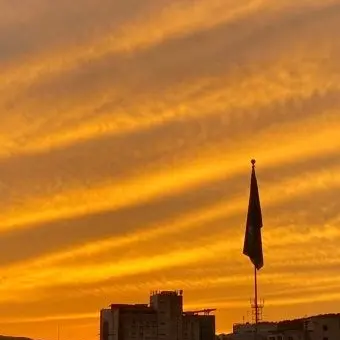 Profile image of 제미니