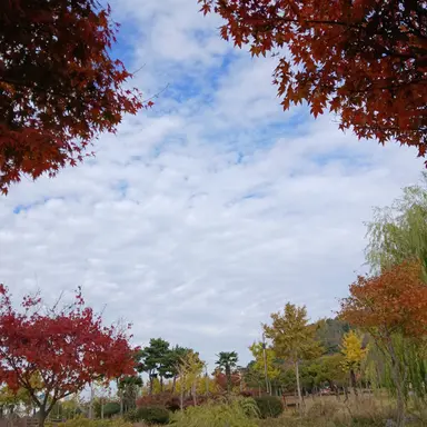 Profile image of 유저