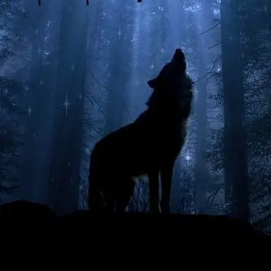 Profile image of 小柳ロウ