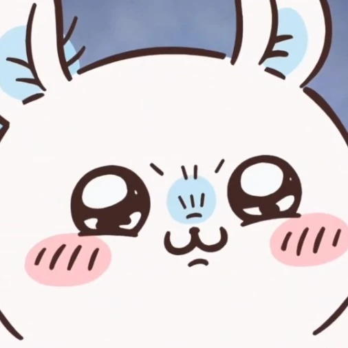 모몽가