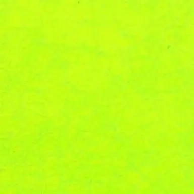 Profile image of 伊波ライ