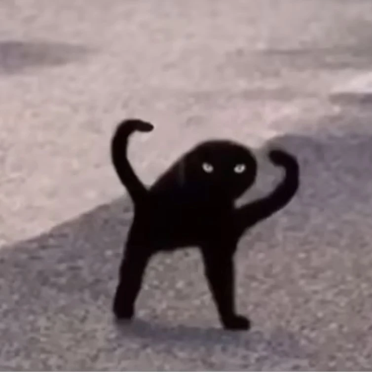 謎の黒猫