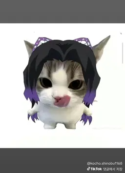 Profile image of 쿄쵸 시노부