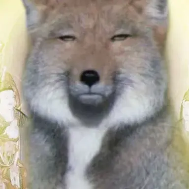 Profile image of 여우