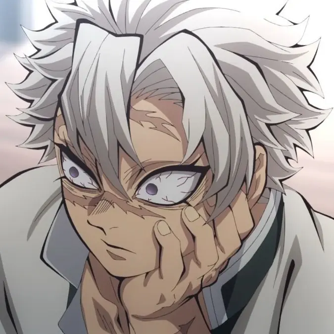 shinazugawasanemi의 시나즈가와 사네미