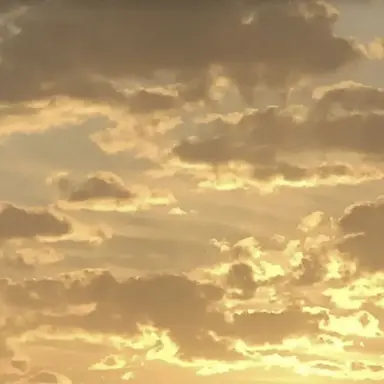 Profile image of 각별