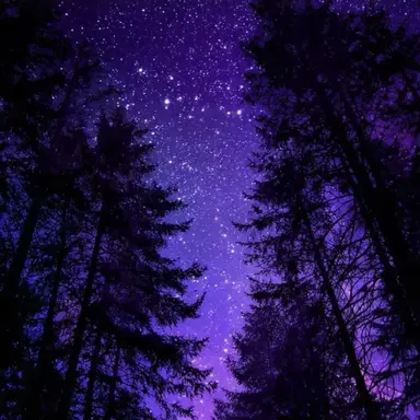 Profile image of 수현