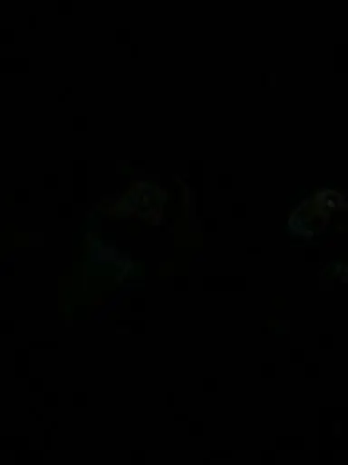 SilentScream의 리바이 아커만