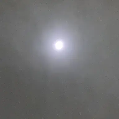 Profile image of 学園