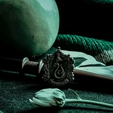 Profile image of Draco