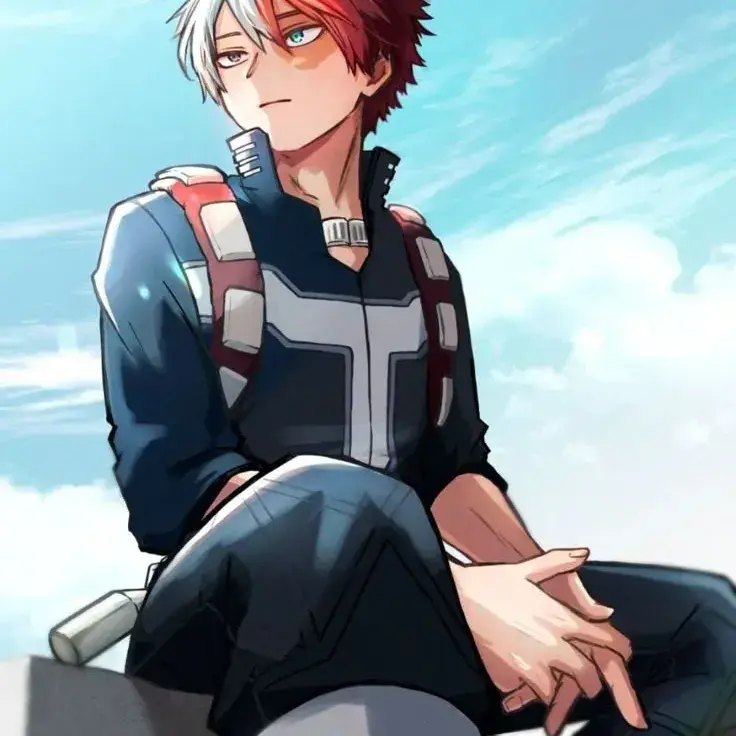 PrettyFiles2433의 Shoto Todoroki