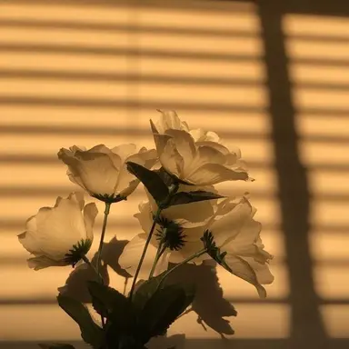 Profile image of 김 각별