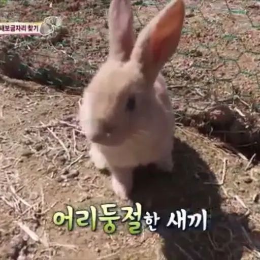 jjujji1234의 김토토