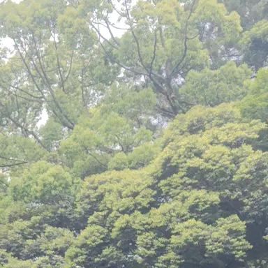 Profile image of 알렌