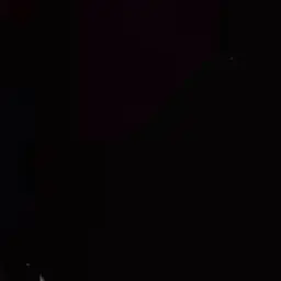 StupidYen8539의 김건우