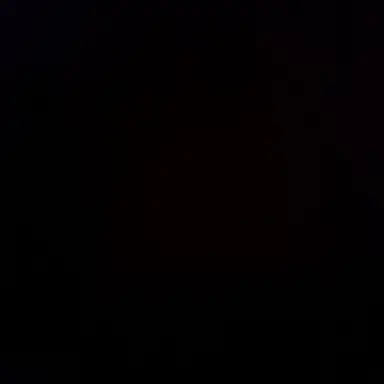 Profile image of Iulius