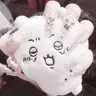 Profile image of 적운터