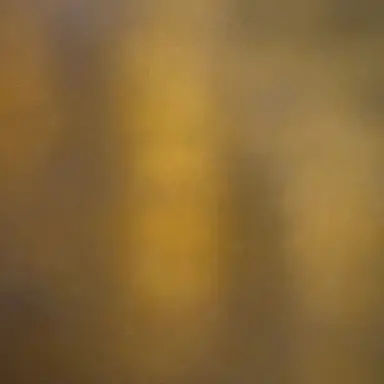 Profile image of 貴公子