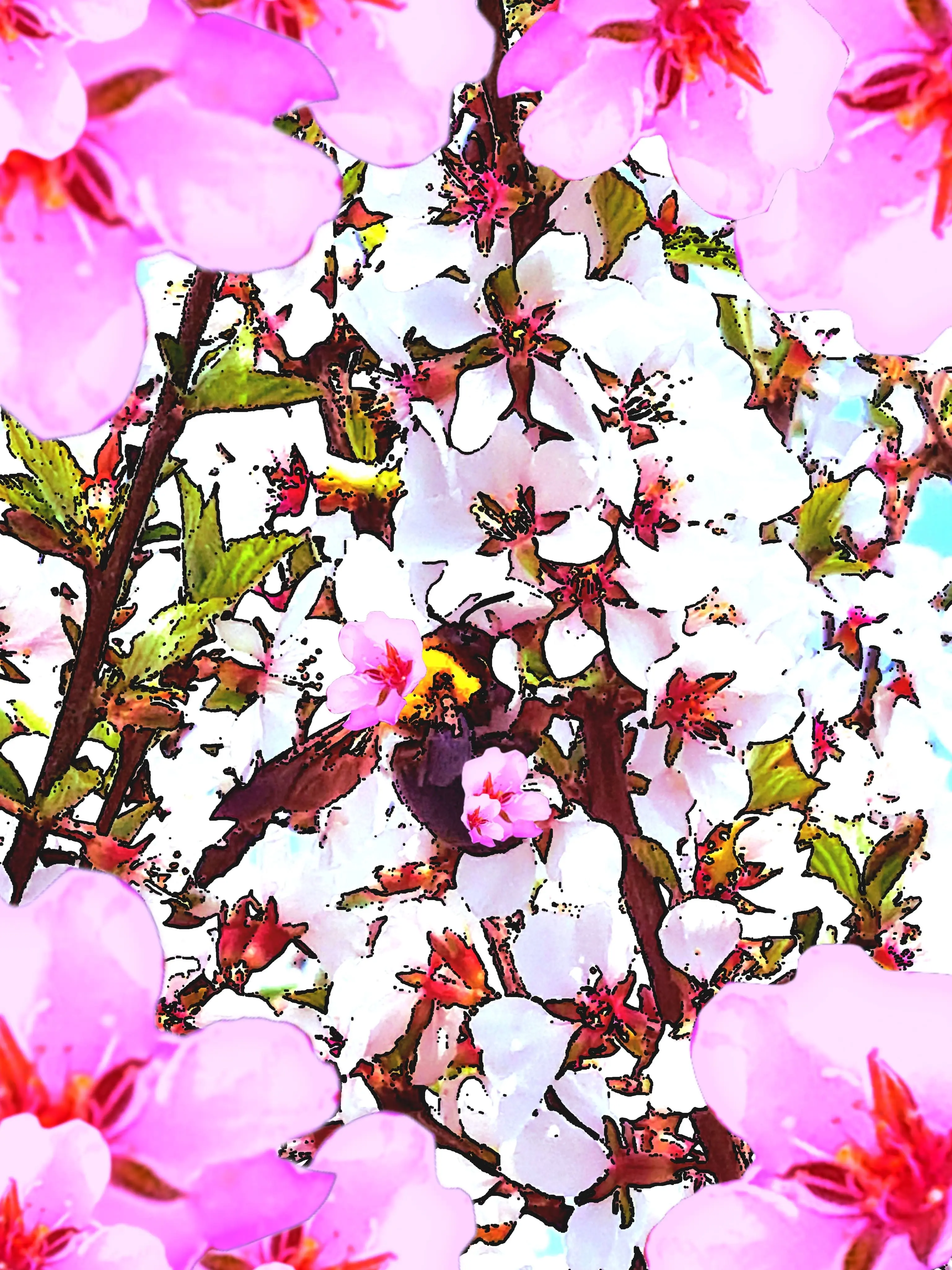 Rockgogi의 세상에서 가장 아름다운 생물체