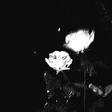 Profile image of 아이린